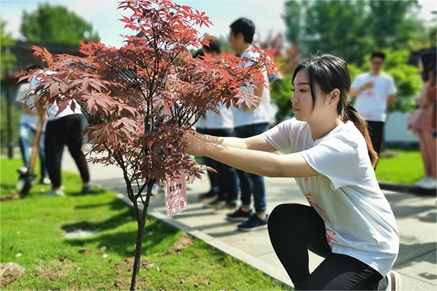 團(tuán)委植樹